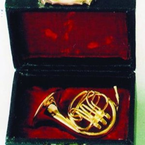 French Horn in Case