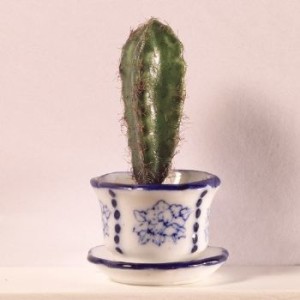 Prickly tall cactus