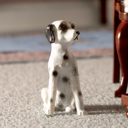 Dotty the Dalmatian Dog