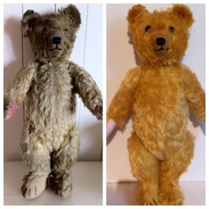 Before & After Teddy