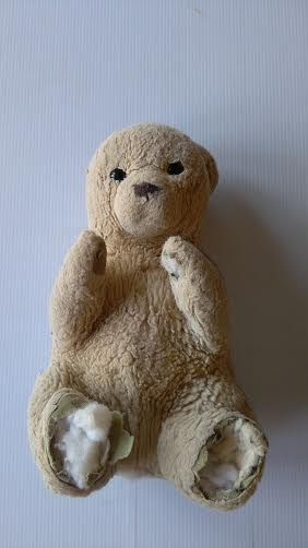White Teddy