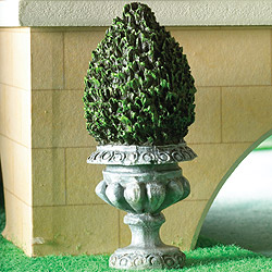 Topiary Tree