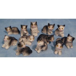 8177E CAT CATTS ASSORTED