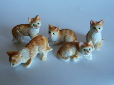 Da012 Cat Ginger cats