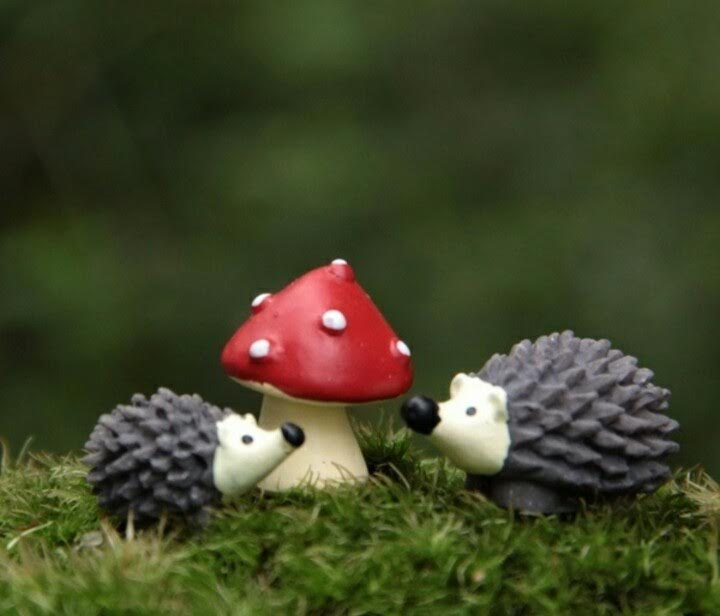 hedgehog1 hedgehog1