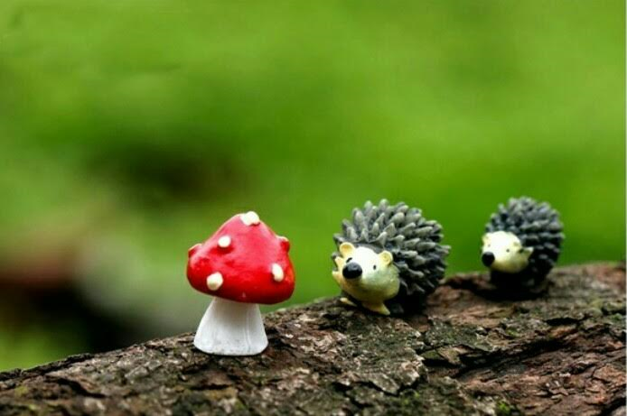 hedgehog3
